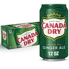Ginger Ale Soda  12 Fl Oz Cans  12 Pack