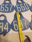 Vintage Cattle Numbered Ear Tags  Lot Of 17 Plastic  Large Blue Double Sided