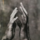 Tarzan Broadway Souvenir Program Disney Theatrical Productions 