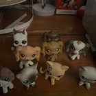  fake  Lps Main 5 Lot Dane Collie Shorthair Cat Aftermarket 