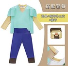 Minecraft Steve   Creeper Kids Kids Costumes