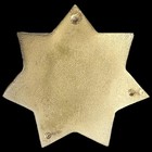 Yucatan  Mexico Secretaria De Securidad Publica Badge