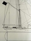 19th C  Antique Print Design For Camphill 3 Masted Barque Sailing Vessel