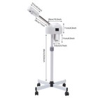Salon Spa Facial Steamer Sauna Beauty Equipment Skin Care Ozone Machine