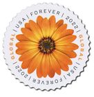 Usa 2022 Stamps Global Forever African Daisy Sheet Of 10