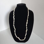 Beautiful Sea Shell Necklace Small Of White Pattern Shells 
