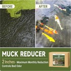 Muck Reducer - 15lb Natural Sludge Solution Tablets For Ponds   Lakes  Away Muck