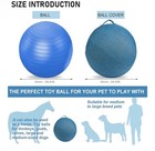 Herding Ball For Dogs And Horses - Complete Set   25  Medium  bugarore 
