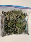 Dried Catnip Whole Leaf  Large  1 Oz Dry Weight  Approx  Low Grade  Fresh Dried