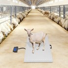 0 2lbs Dog Scale Breed Animal Livestock Weight Scale Pet Scale 500kg 1102 31lbs