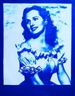 Jacquard Cyanotype Sensitizer Set 