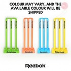 Cricket Stump Set With Bails  Heavy Base   Premium Carry Cover  Multicolors