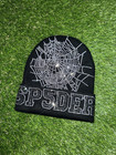 Sp5der Web Beanie  black 