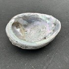 Abalone Shell 8 5  X 6 75  - Large Iridescent Dish Tray Figurine Vintage