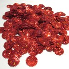 Sequins Red Hologram 17mm Sunburst starburst wheels  100pcs Loose