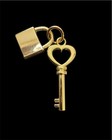 Louis Vuitton Zipper Pull Button Charm Gold Key   Padlock