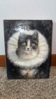 Sid Dickens T-282    pierrot    Memory Block Tile