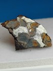 4 55g Sericho Pallasite Iron Meteorite From Kenya