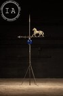 Early 20th Century Lightning Rod Weathervane
