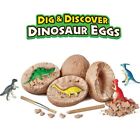 Diy Dig Dinosaur Eggs Toys Kids Children Fossils Excavation Educational Toy Gift