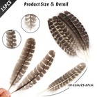 Wild Turkey Feathers Natural 15pcs For Craft Decor Diy Art Supplies Wholesale