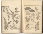 Hokusai Prints Flowers Birds Animal 15 Books Reprint 1908 For Mr  Tanaka