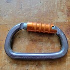 Petzl Am d Triact Autolocking Carabiner