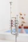 Flag Trumpet Bb Pitch Shinning Nickel With Case Super Hard Case Herald Trumpet