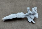 Small Blue Ridge Coral Fragment  1 Coral Fragment Approx  3-4 5  Inches 
