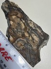 Biggs   Bruno Jasper Old Stock  Aaa For Display Or Lapidary  100g
