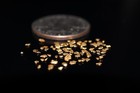 0 500 Grams Fine Alaskan Natural Gold Great Christmas Gift