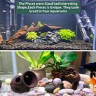 5 Pcs Driftwood Branches Aquarium Wood Decoration Natural Fish Tank Habitat Deco