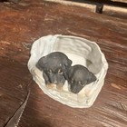 Vintage Schafer Vater  Bisque Porcelain Rottweiler Match Holder Germany