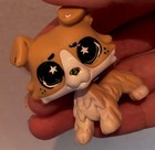 Lps Littlest Pet Shop Ooak Custom Collie 272 Eye Repaint Lot