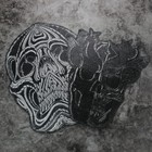 2pcs Skull Back Patch Embroidered Iron On Sew On Badge For Diy Jacket Clothes