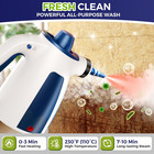 Professional Handheld Steam Cleaner  230  f  350ml  12 Accessories For Deep Clean