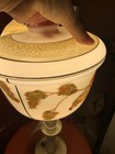 Antique Glass Ceiling Light Lamp Globe Shade Hand-painted Parrot
