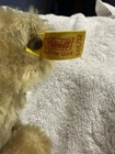 Vintage Steiff Teddy Bear 1950s Mohair Jointed Bear Button In Ear 9    Germany