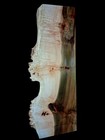 Xl Wicked Curly Birdseye Maple Burl Wood Blank  Live Edge  Turning epoxy Wood 