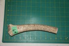 Medium Upper Elk Antler Dog Chew  9   Bone Chews Moose Treats Deer 1011