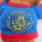Vintage Avon World Of Wonderful Bears Teddy Bear Plush Small Brown 1989 Shirt