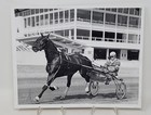 1974 Press Photo Horse Racing Morning Workout Leroy Copeland Foxboro Raceway