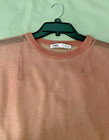 Zara Blush Metallic Sheer Oversized Long Sleeve Tee Shirt Size Small