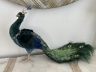Mark Roberts Green   Blue Festive Peacock