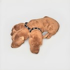 Warner Bros Studio Tour Harry Potter 3 Headed Fluffy Dog Plush Wizarding World