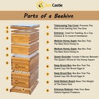 Beecastle 8 Frame Langstroth Bee Hive Coated With Beeswax Includes Beehive Frame