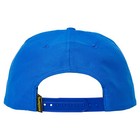 Anti Hero Skateboards Hat Lil Pigeon Snapback Blue yellow