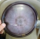 Discraft Esp Zone Ss      Almost Black      New Release 2025      Swirly 170_172 