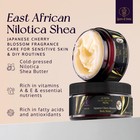 Queen Of Shea Japanese Cherry Blossom Body Butter  8 Ounce