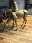 Large Vintage Brass Deer Pair  buck 18  T   doe 11  T  Mid Century Statues Heavy